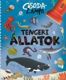 Csodalámpa - Tengeri állatok