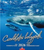 Csodálatos bolygónk falinaptár - 30x34 cm - 2026