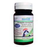 CSOMAG: NutriLAB Rózsagyökér-Ginzeng komplex 60x + AJÁNDÉK C-vitamin