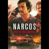 Curve Digital Narcos: Rise of the Cartels (PC - Steam elektronikus játék licensz)