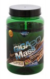 CyberTech Nutrition Giga Mass 20 (1,75 kg)