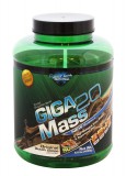 CyberTech Nutrition Giga Mass 20 (4 kg)