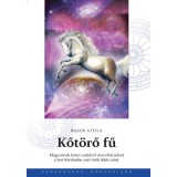 Danvantara Bakos Attila - Kőtörő fű | őstörténeti könyv