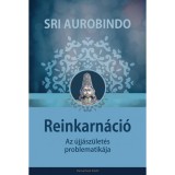 Danvantara Sri Aurobindo - Reinkarnáció, Az újjászületés problematikája