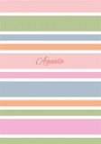 DAYLINER "Colors Stripes"  A5 tervező naptár