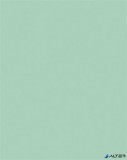 Dekorkarton, 2 oldalas, 50x70cm, 220 g, 10 lap, FOLIA, menta