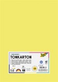 Dekorkarton, 2 oldalas, A4, 220 g, 100 lap, FOLIA Basic, 10 különböző szín (FL6122409)