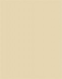 Dekorkarton, 2 oldalas, A4, 220 g, 100 lap, FOLIA, chamois