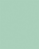 Dekorkarton, 2 oldalas, A4, 220 g, 100 lap, FOLIA, menta