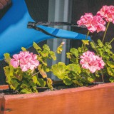 Delight Öntapadós szúnyogháló cipzáros nyílással, 150 x 180, fekete