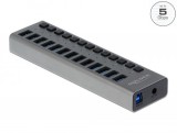 DeLock 13-port USB Hub Black 63738