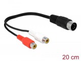 DeLOCK 85835 audio kábel 0,2 M DIN (5-pin) 2 x RCA Fekete
