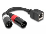 Delock Adapter RJ45 kábel anya - 2 x XLR 3 tűs apa, fekete színű 20 cm