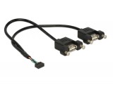 DeLock Cable USB 2.0 pin header female 2.00 mm 10 pin > 2x USB 2.0 Type-A female panel-mount 25cm 84832