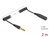 DeLock Coiled Cable Extension 3 pin 6.35 mm Stereo Jack male to Stereo Jack female 2m Black 85938