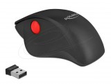 DeLock Ergonomic Wireless Vertical Mouse Black 12598