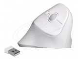 DeLock Ergonomic Wireless vertical Mouse White 12596