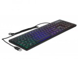 DeLock RGB Illumination USB Keyboard Black DE 12625