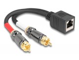 Delock RJ45 adapter kábel apa - 2 x RCA apa fekete, 20 cm