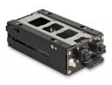 Delock Slim Mobil Rack 2 x 2.5 U.2 NVMe SSD