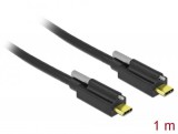DeLock SuperSpeed USB 10 Gbps (USB 3.1 Gen 2) USB Type-C male > USB Type-C male with screw on top cable 1m Black 83719