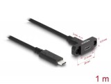 DeLock SuperSpeed USB 10 Gbps (USB 3.2 Gen 2) Cable USB Type-C male to female 1m panel-mount Black 87824