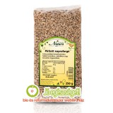 DÉNES-NATURA HÁNTOLT NAPRAFORGÓ PIRÍTOTT 250G