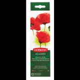 Derwent Academy Vízfesték fém dobozban - 12 színű (2301955)