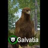 Dev.studio Galvatia (PC - Steam elektronikus játék licensz)