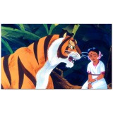 Diafilmgyártó Kft. A dzsungel meséje diafilm