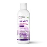 DietEsthetic Diet Esthetic SLess hamvasító sampon szőke, ősz és melírozott hajra (SLS mentes) 250 ml