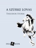 Digi-Book Kiadó Theodor Storm: A szürke lovas - könyv