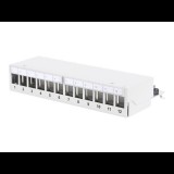 Digitus DN-93706 10" Patch panel - 12 port (DN-93706)