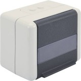 Digitus Hálózati csatlakozódoboz Falra szerelhető 2 port Szürke (DN-93844-OD)