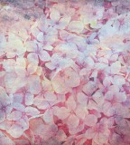 Dimex Almafa fotótapéta, poszter, vlies alapanyag, 225x250 cm