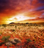 Dimex AUSTRALIAN LANDSCAPE fotótapéta, poszter, vlies alapanyag, 225x250 cm