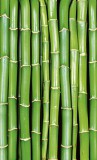 Dimex BAMBOO fotótapéta, poszter, vlies alapanyag, 150x250 cm