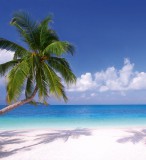 Dimex BEACH fotótapéta, poszter, vlies alapanyag, 225x250 cm