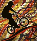 Dimex BICYCLE RED fotótapéta, poszter, vlies alapanyag, 225x250 cm