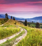 Dimex BLOOMING HILLS fotótapéta, poszter, vlies alapanyag, 225x250 cm