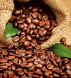 Dimex COFFEE BEANS fotótapéta, poszter, vlies alapanyag, 225x250 cm