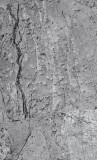 Dimex CONCRETE FLOOR fotótapéta, poszter, vlies alapanyag, 150x250 cm