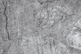 Dimex CONCRETE FLOOR fotótapéta, poszter, vlies alapanyag, 375x250 cm