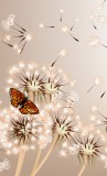 Dimex DANDELIONS AND BUTTERFLY fotótapéta, poszter, vlies alapanyag, 150x250 cm