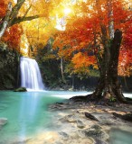 Dimex DEEP FOREST WATERFALL fotótapéta, poszter, vlies alapanyag, 225x250 cm