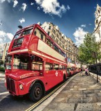 Dimex DOUBLE DECKER BUS fotótapéta, poszter, vlies alapanyag, 225x250 cm