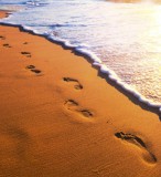 Dimex FOOTSTEPS fotótapéta, poszter, vlies alapanyag, 225x250 cm