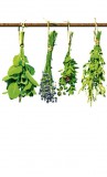 Dimex HERBS fotótapéta, poszter, vlies alapanyag, 150x250 cm