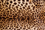 Dimex LEOPARD SKIN fotótapéta, poszter, vlies alapanyag, 375x250 cm