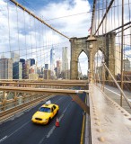 Dimex NEW YORK CITY fotótapéta, poszter, vlies alapanyag, 225x250 cm